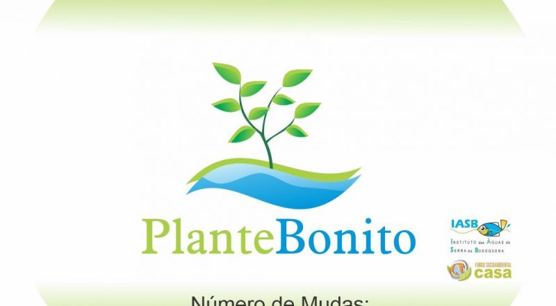 Plante Bonito