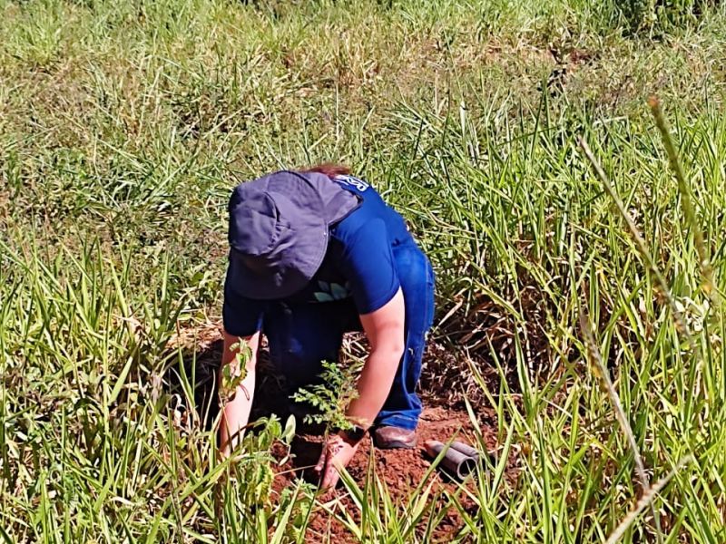 Mais um plantio feito na Chácara Boa Vista, localizada no Alto Mimoso