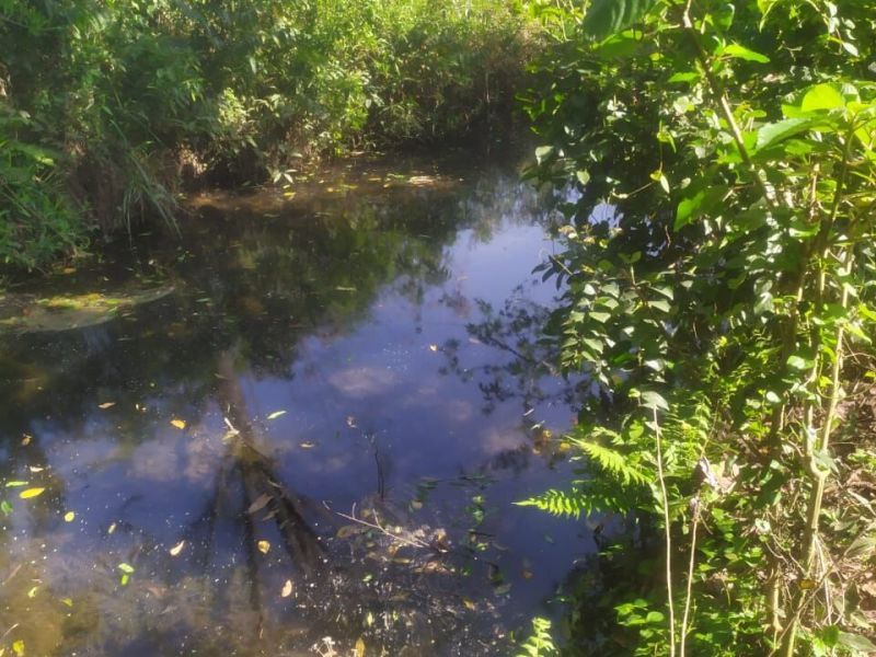 Vistorias do projeto Águas de Bonito