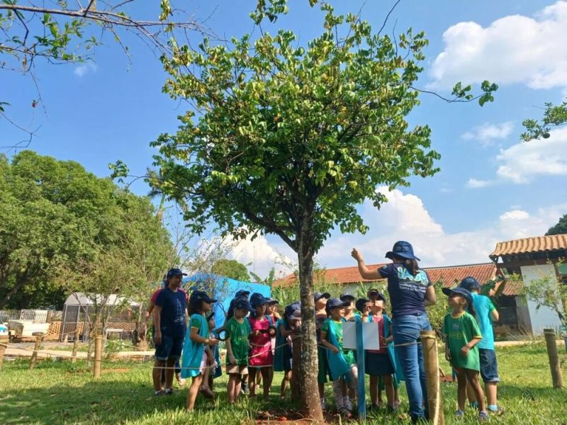 Semana da Árvore: Cultivando o amor pela natureza com os pequenos exploradores
