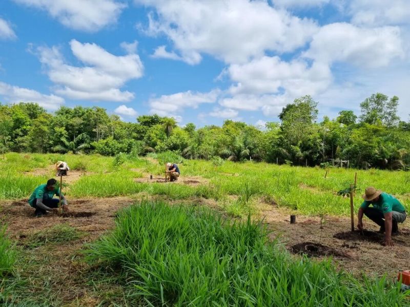 Plantio iniciado no Rancho Rancontro das Águas