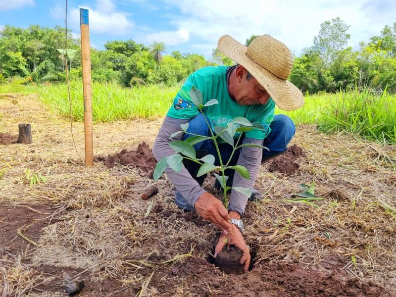 Finalização do plantio no Rancho Encontro das Águas