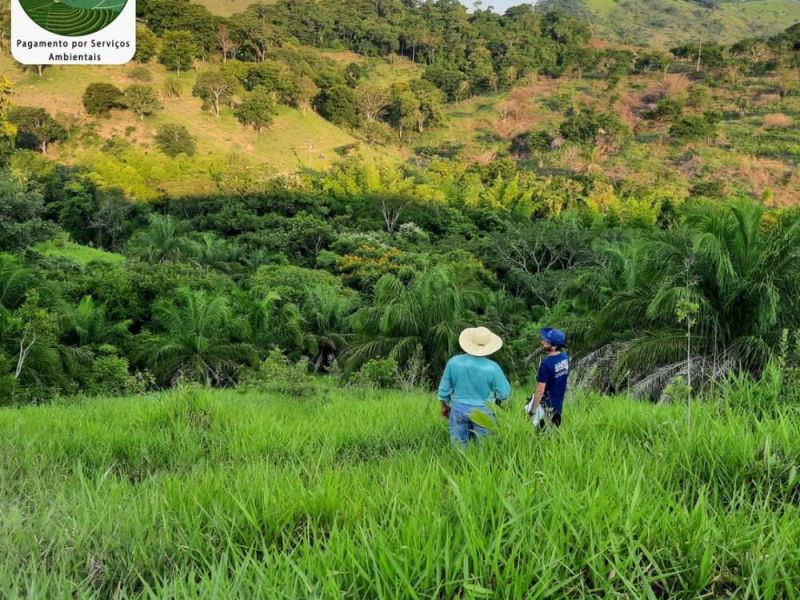 Início das ações previstas do 2° Edital do Programa de Pagamento por Serviços Ambientais