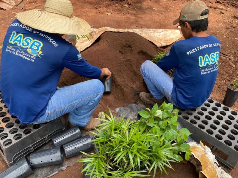 Equipe do IASB fortalece parceria com viveiro da RPPN Cabeceira do Prata