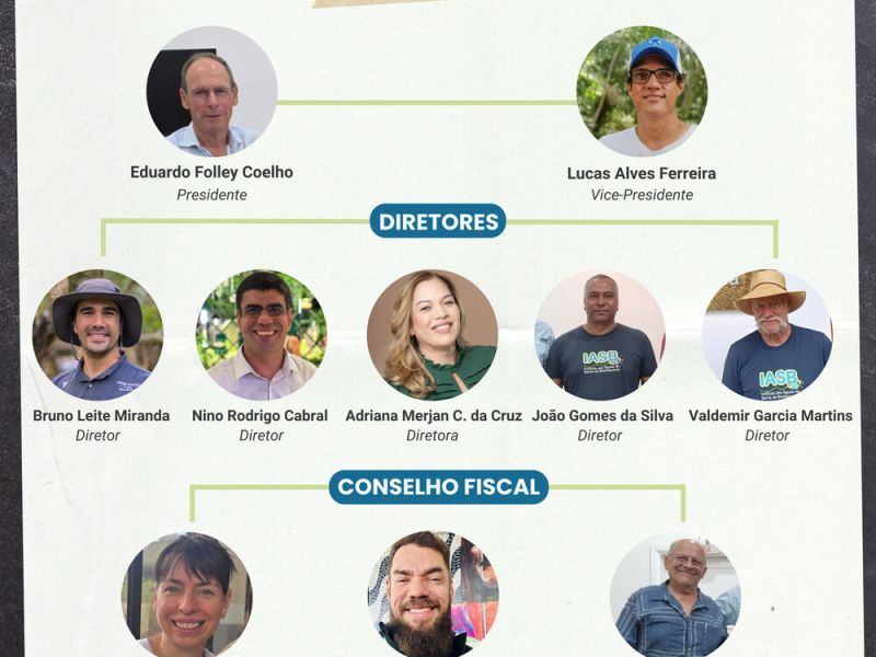 Conheça a nova Diretoria do IASB – Biênio 2026-2028
