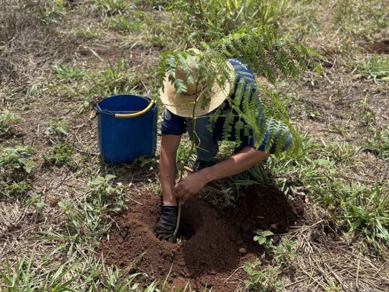 Plantio em APP avança na Fazenda Mormay em Bonito/MS