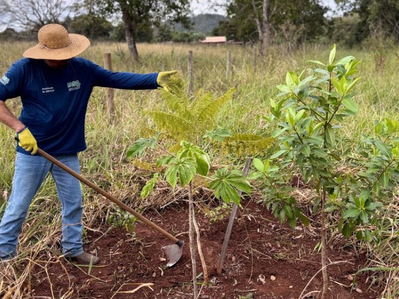 IASB e WWF-Brasil: manutenção que transforma vidas na Fazenda São Sebastião